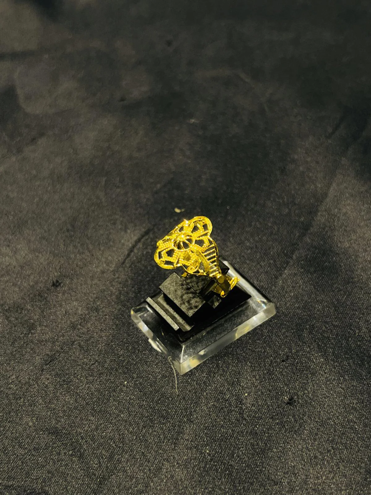 24K Gold Polish adjustable Ring 