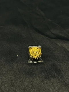 24K Gold Polish adjustable Ring with Golden Beads view 1