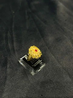 24K Gold Polish adjustable Ring in Maroon Stone view 1